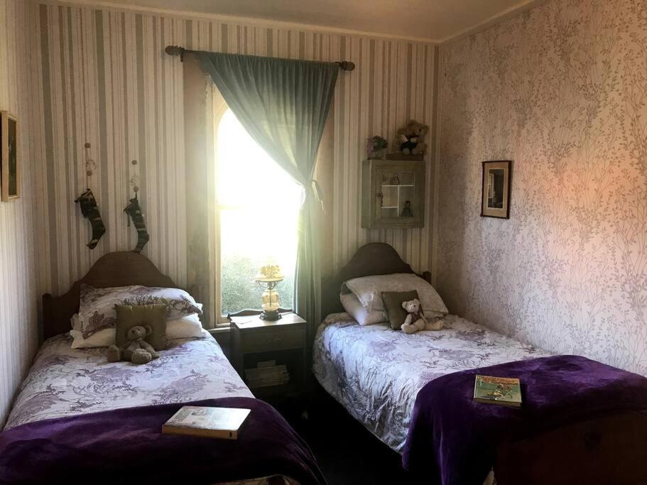 Oakura Pond Cottage - A Unique Kiwi Holiday Bach Ngoại thất bức ảnh