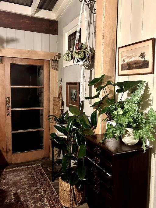 Oakura Pond Cottage - A Unique Kiwi Holiday Bach Ngoại thất bức ảnh