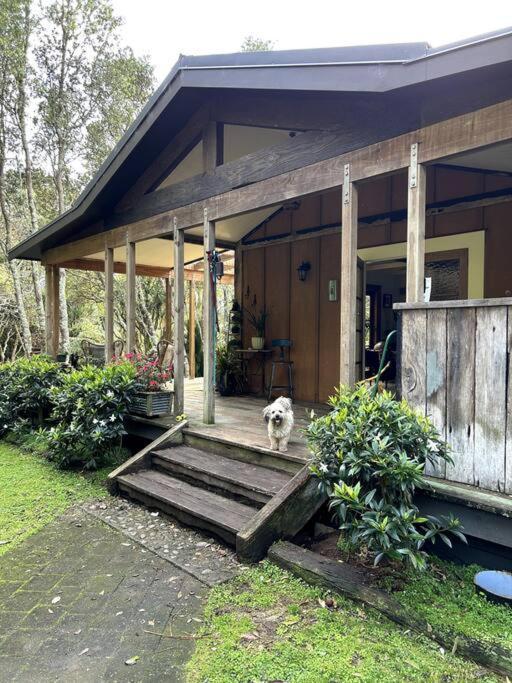 Oakura Pond Cottage - A Unique Kiwi Holiday Bach Ngoại thất bức ảnh