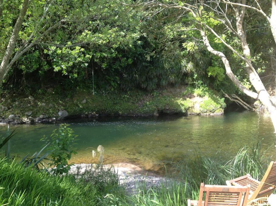 Oakura Pond Cottage - A Unique Kiwi Holiday Bach Ngoại thất bức ảnh